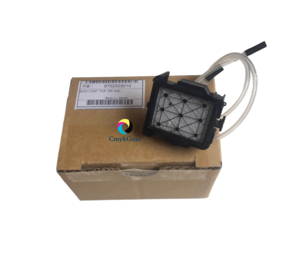 Roland Assy, Cap Top - 6702029010
